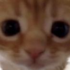 unbindchatkey's Avatar'