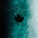 ChaddyChuddy's Avatar'