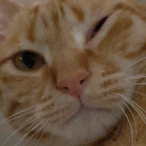 jangsaeng_i's Avatar'