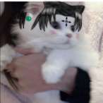 Vivraa's Avatar'
