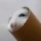 CathCant's Avatar'
