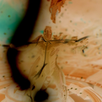 WarBeice's Avatar'