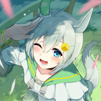 SeiunSkyyyyyyy's Avatar'