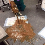 TutorialAlarm53's Avatar'