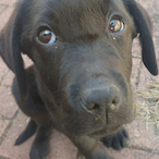 bypassn ximm's Avatar'