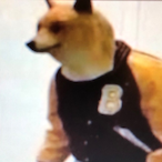 CUSTOM_BOI's Avatar'