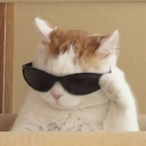 moeiram's Avatar'