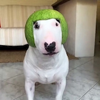 remece.MP3's Avatar'