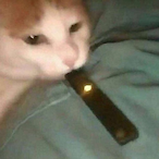 Nine-Nine-2900's Avatar'