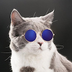 joamingyu's Avatar'