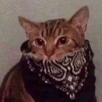 RollinJr7x's Avatar'