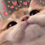 ULTRAk0p's Avatar'