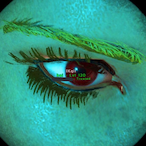 lKqil's Avatar'