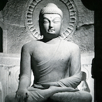 BEYONDTHEGOOD's Avatar'