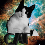 Cat.Lonely's Avatar'