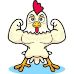 namchickens's Avatar'