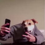 ChemDoggy's Avatar'