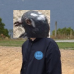 thepuggamers's Avatar'