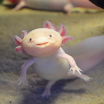 donttrythis69_'s Avatar'