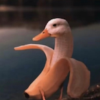 DammWasTaken's Avatar'