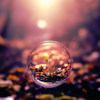 Shades_Smgma's Avatar'