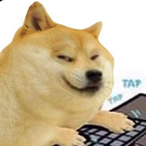 karakan299's Avatar'