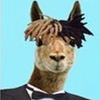 Chukyballz18's Avatar'