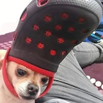 ImmenseDood's Avatar'