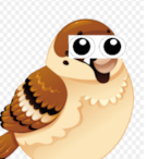 Sparacado.'s Avatar'