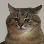 Meemeewonton's Avatar'