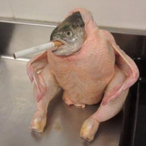 AuntPhyllis's Avatar'