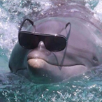 BTchulo's Avatar'