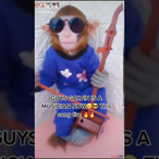 GalvinTheMonkey's Avatar'