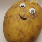 PunchedPotato's Avatar'
