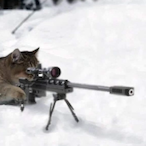 Grabmylemon's Avatar'