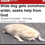 StevenNutsworth's Avatar'