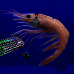 Shrimp.FNC's Avatar'