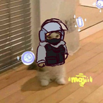 ThatGuyYertz's Avatar'