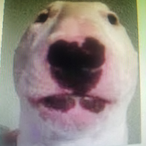 huntrbro's Avatar'