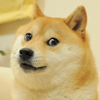 DogememeHUN's Avatar'