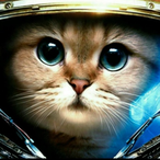 K_PercivaL's Avatar'