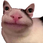 TheCatLord.__.'s Avatar'