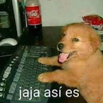 OLIENDOTUANO18's Avatar'