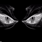 MRXAAMN's Avatar'