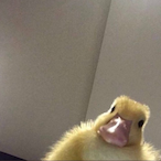 Cosmicz_'s Avatar'