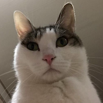 AkZeal_'s Avatar'