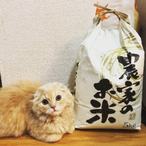 Masa.JPN's Avatar'