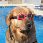 Keyoj's Avatar'