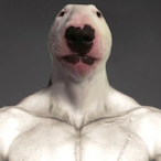 vompnn's Avatar'