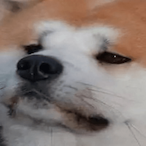 Gabe_itchesalot's Avatar'